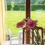Casa vacanze A La Violette Trois-Ponts