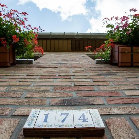 A La Violette Nyaraló *