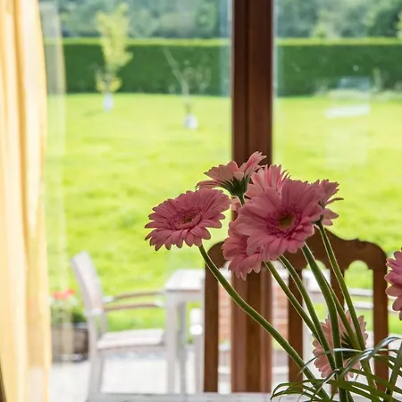 Casa vacanze A La Violette Trois-Ponts